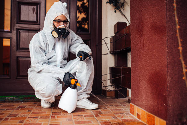 Reliable Mosquito Control contractor in West Valley City, UT by Show Me Pest Control